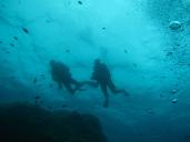 Plongeurs sous-marins